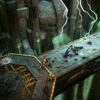 『Warhammer: Chaosbane』評価は「賛否両論」：ファンタジー世界を舞台にしたハクスラ